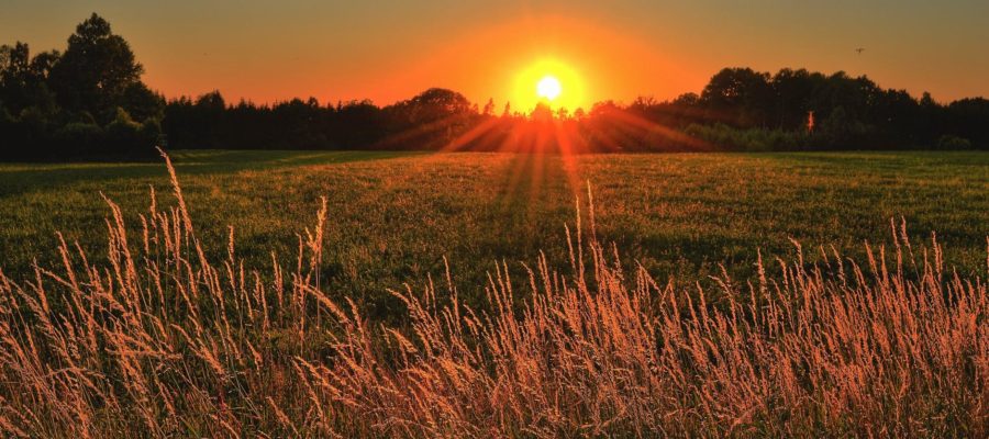 Sun Traveling [poem #379]