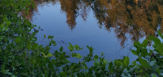 Life During COVID-19 (4/28/2020): Job Search, Internship and Opening Up Utah