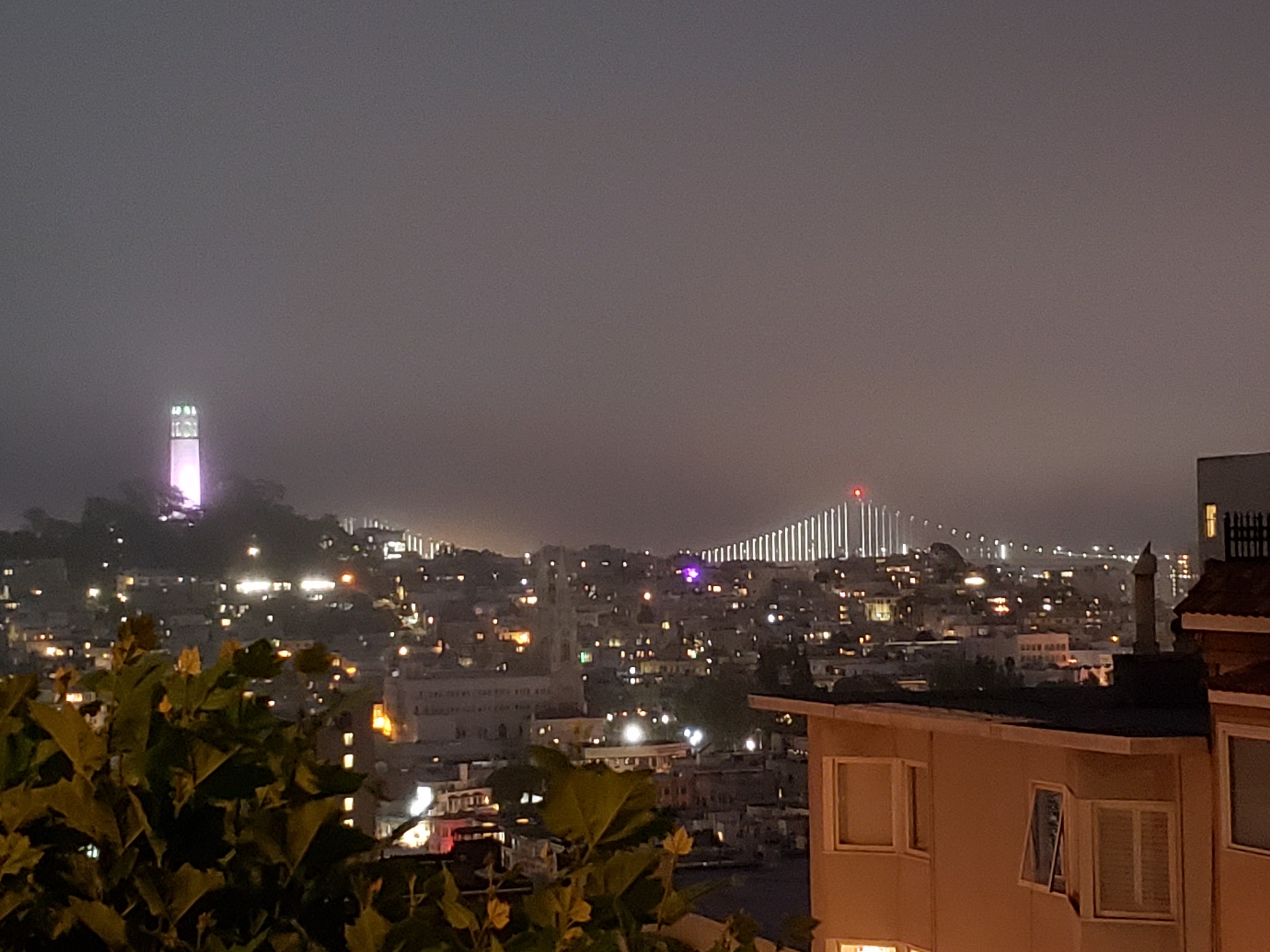 I Love Living in San Francisco: A Writer’s Reflection