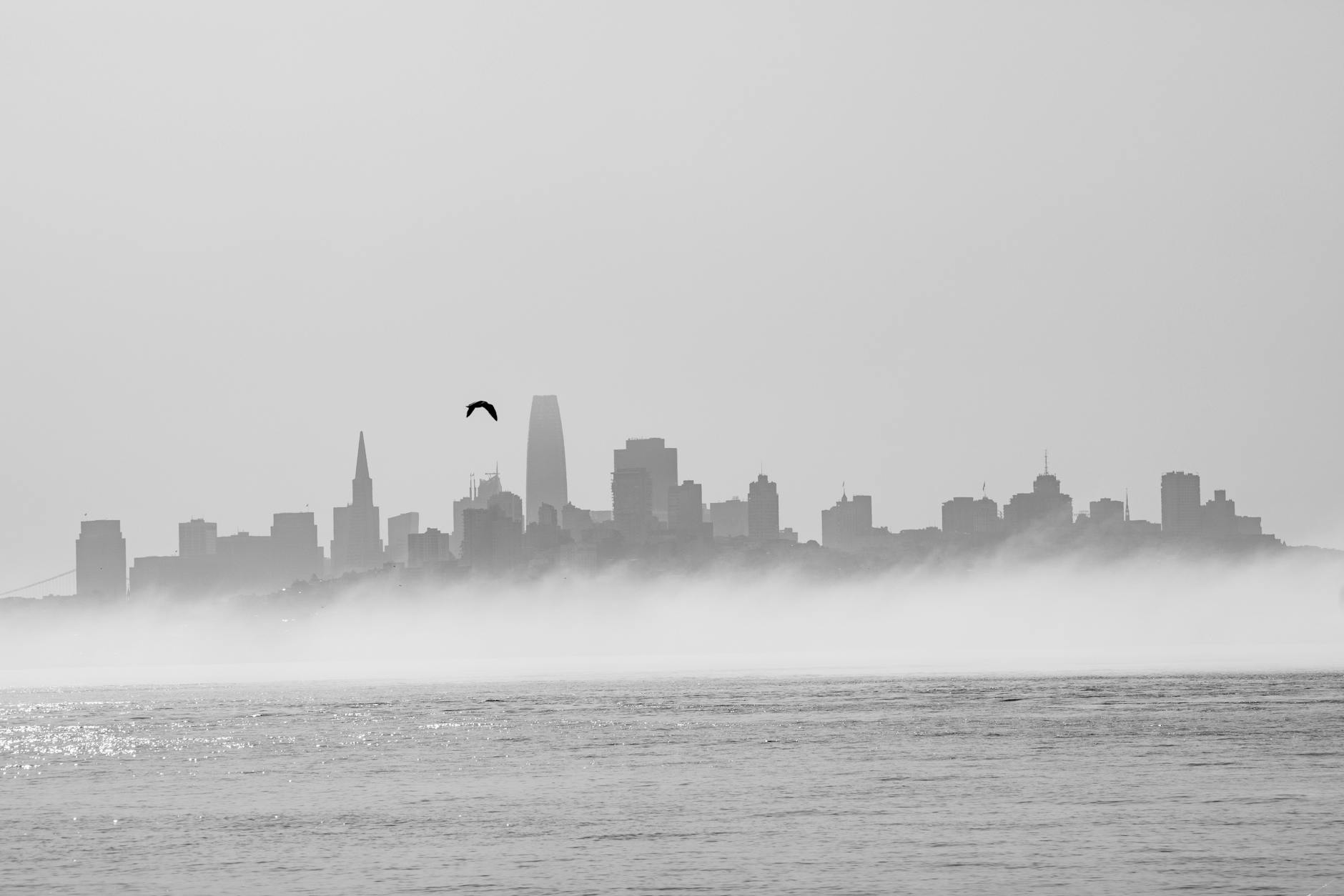 SF