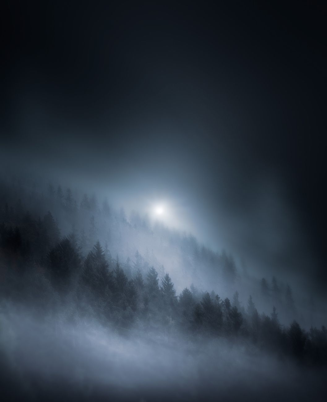 light over woods at night